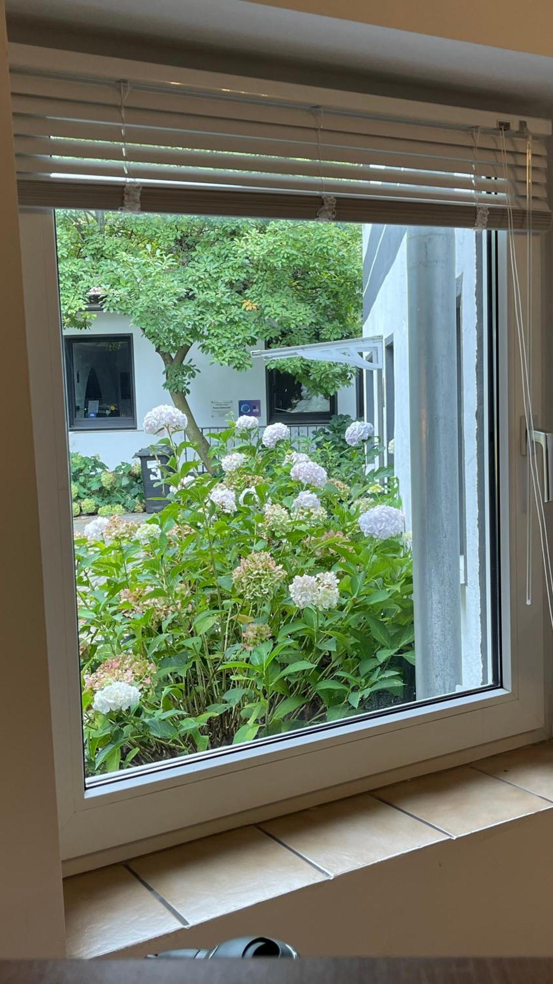 Apartmán Oase Im Gruenen Hinterhof, Eg, Ruhe, Terrasse, Carport, Free Paytv, Kaffee&Tee, Fahrraeder Duisburg Exteriér fotografie